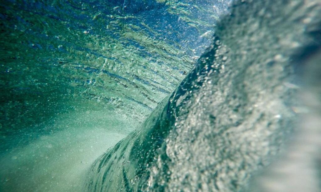 Collaborative Growth