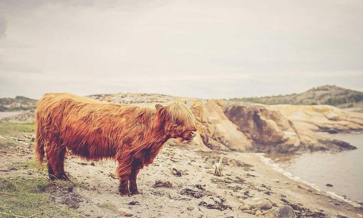 latency optimization