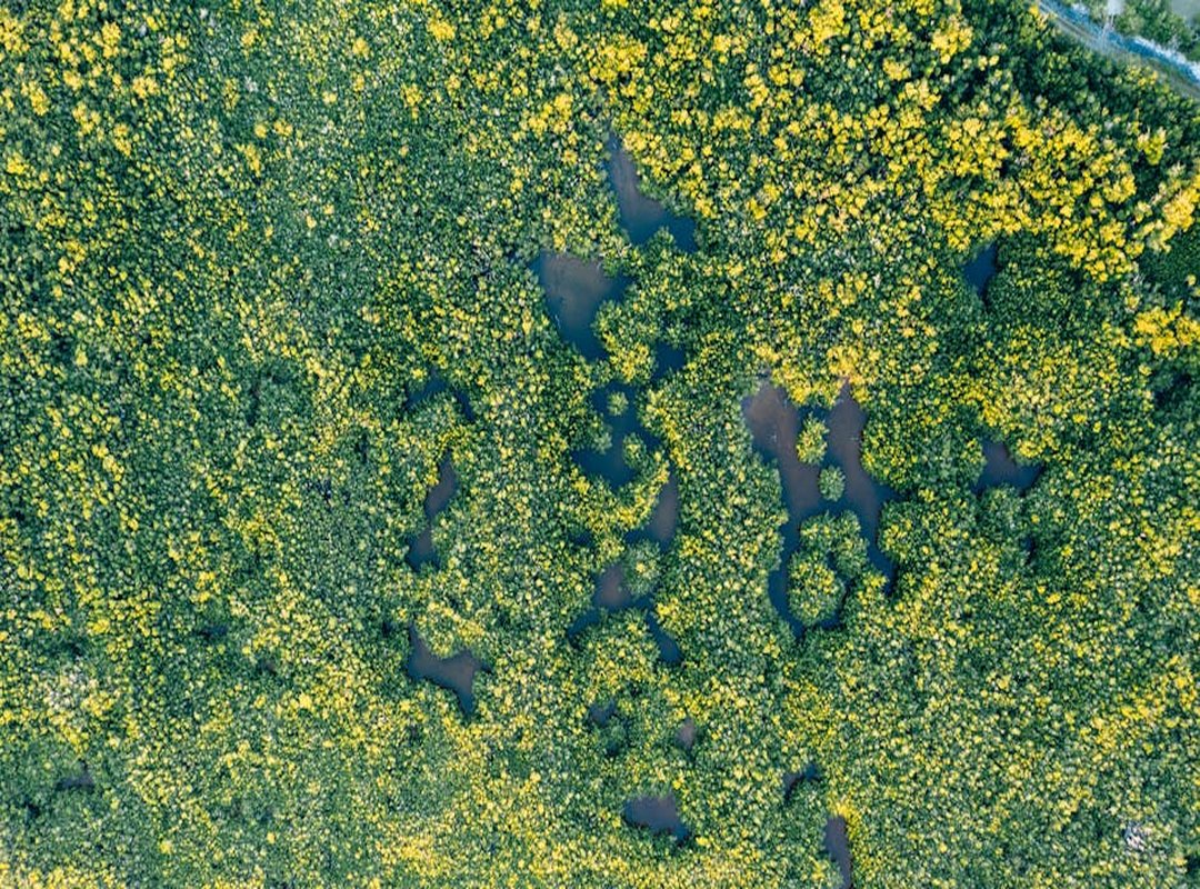 Returnalgirl Version of Playing