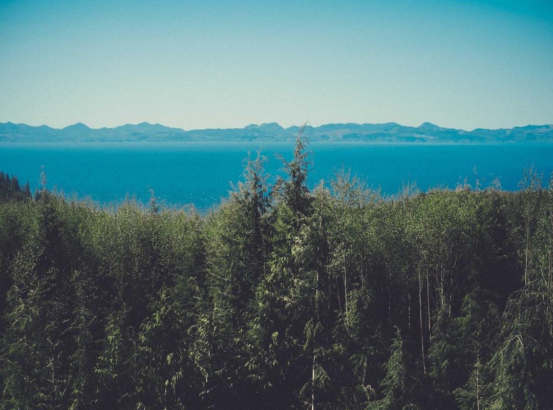 Step-by-Step: How to Pause and Resume Your WiFi Session