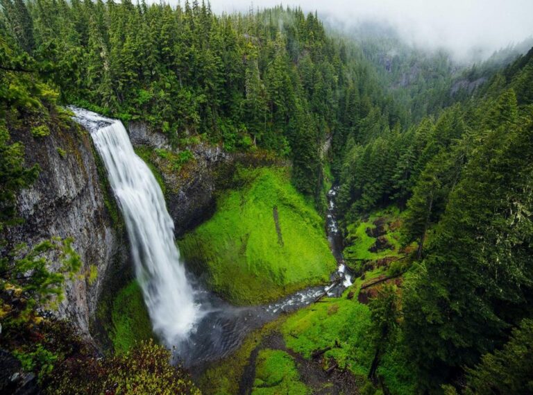 flayradar