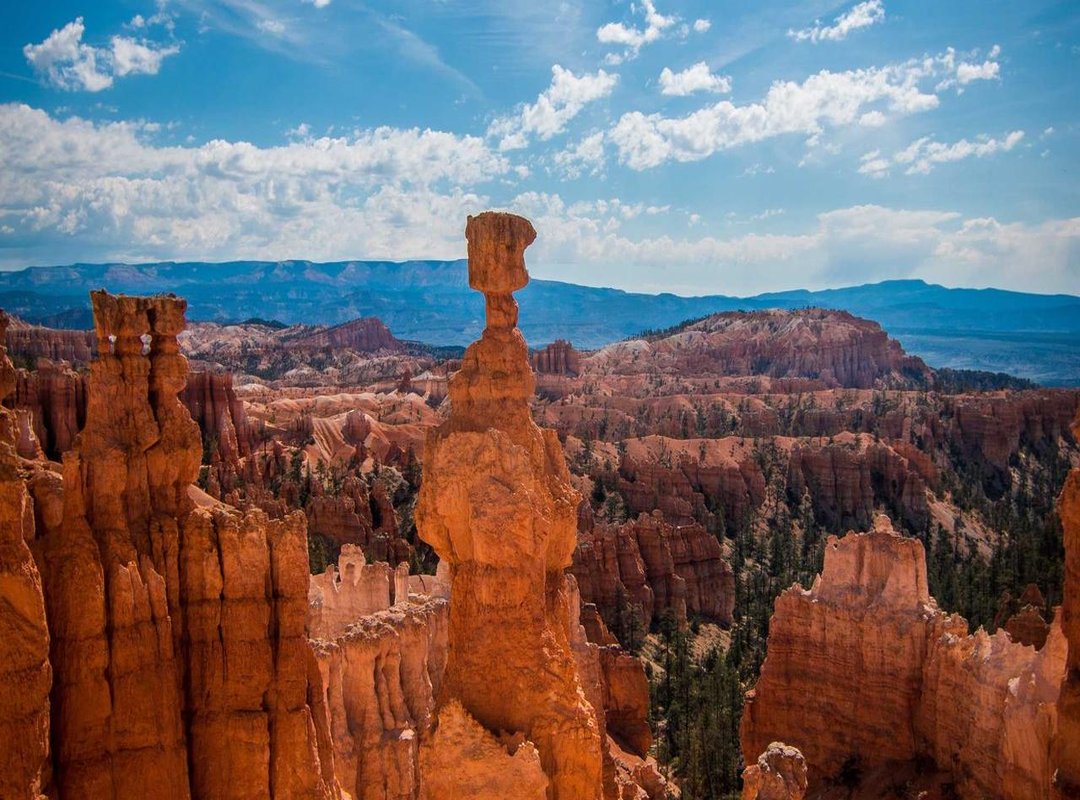 The Immediate A1 Cipro Difference: Why It's Not Just Another Trading Bot