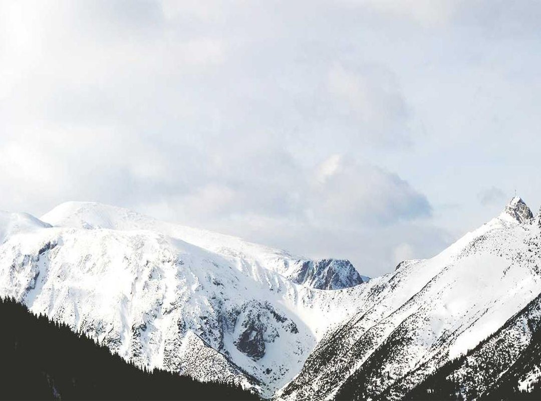 The Price of Fame: Why Actors Like Stradowski Guard Their Privacy