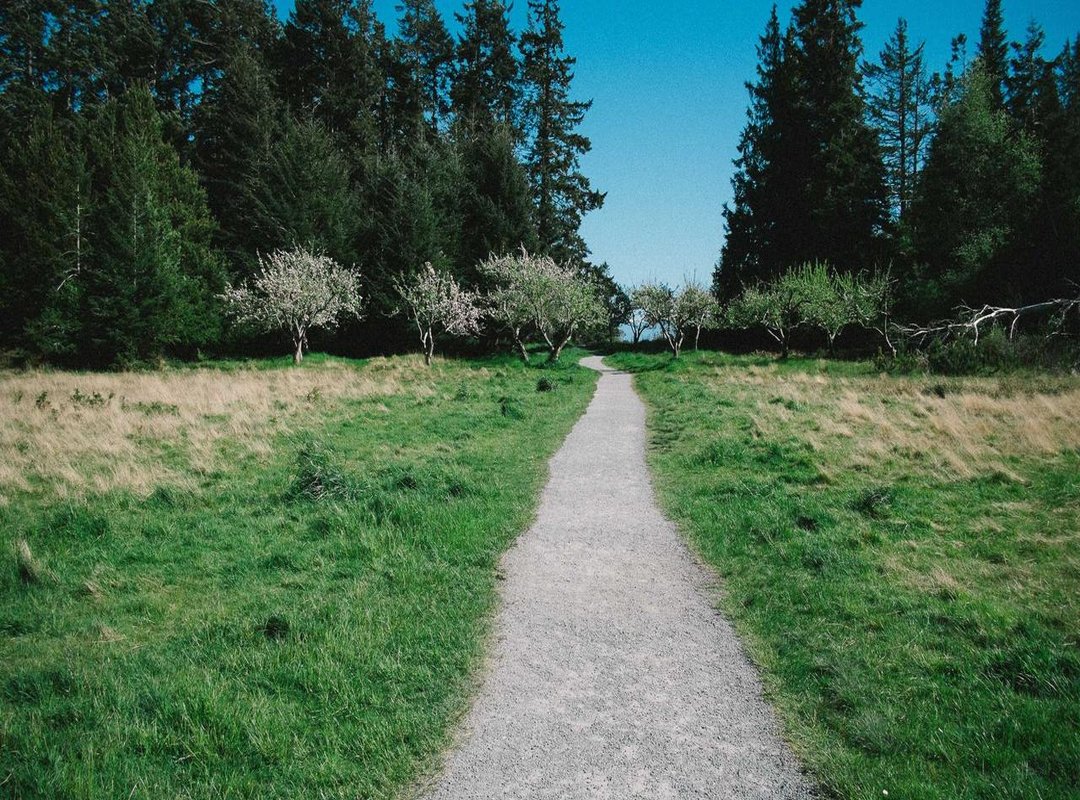 Her Digital Footprint: Influence and Presence on Social Media