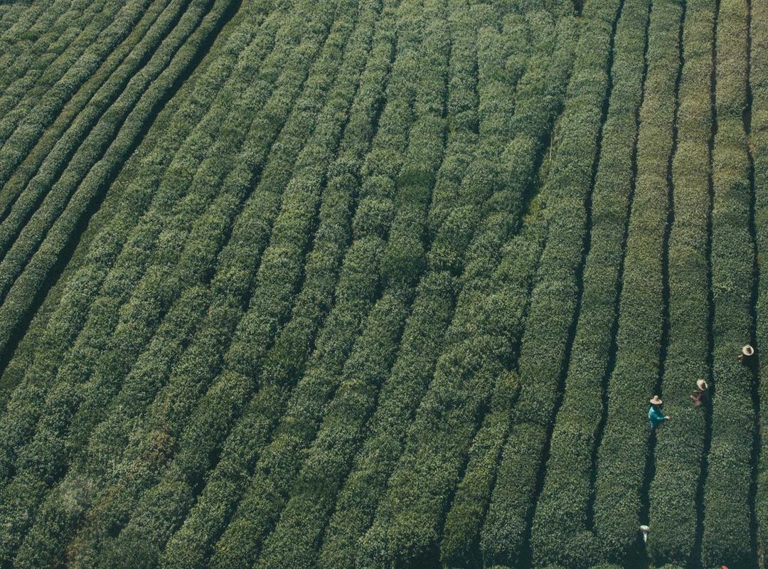 KL Bet 2.0 vs. The Standard Meta: A Head-to-Head Breakdown