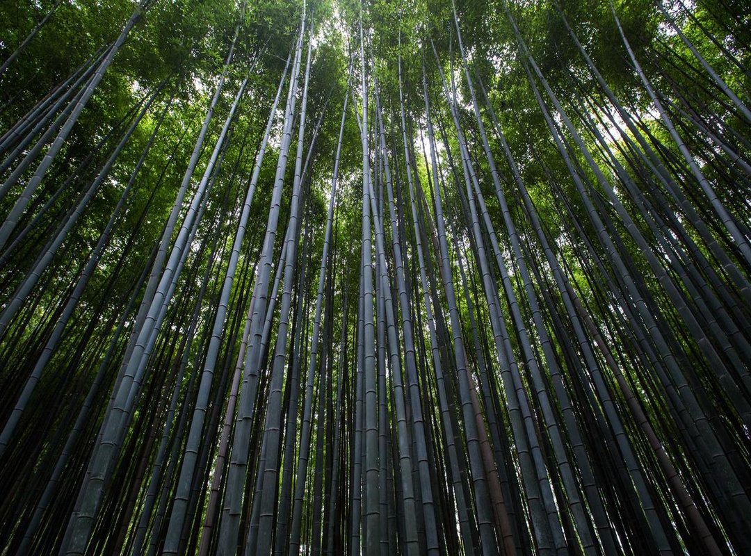 The Inciting Incident: Unpacking the Core Conflict