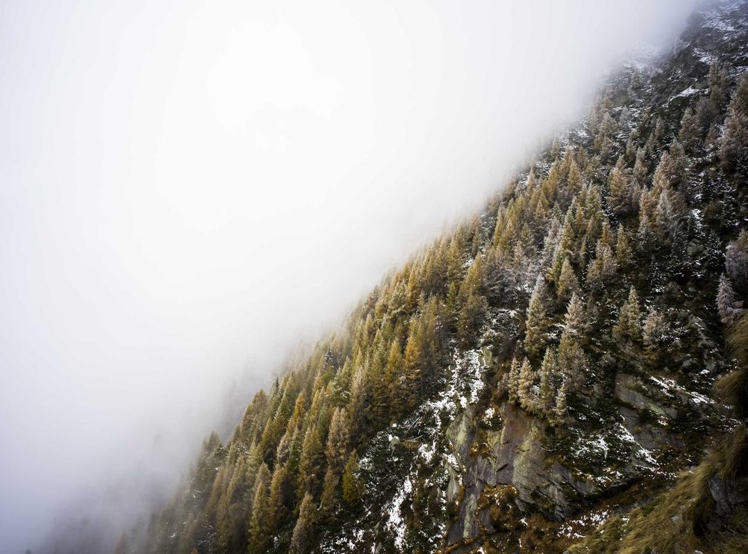 Beyond the Action: Themes and Impact of 'Pencuri Movie'