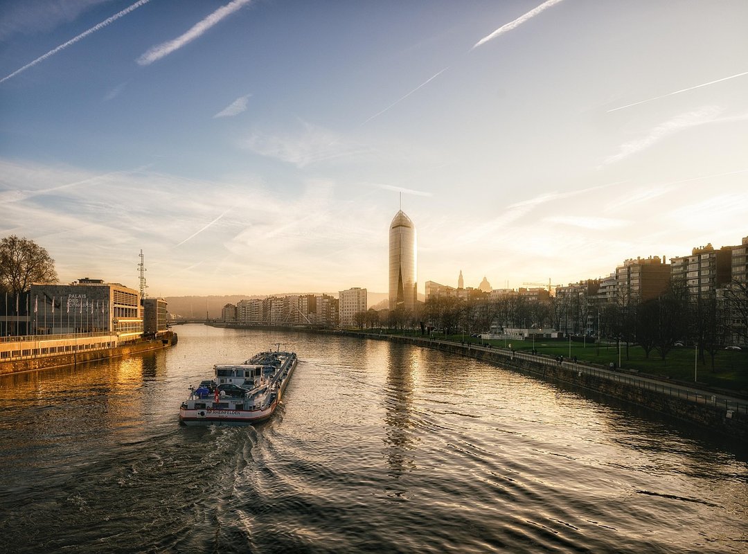 Why the Forearm? Placement, Flow, and Visibility