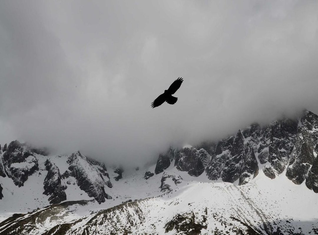 Styling and Setting: Building the Perfect Vibe