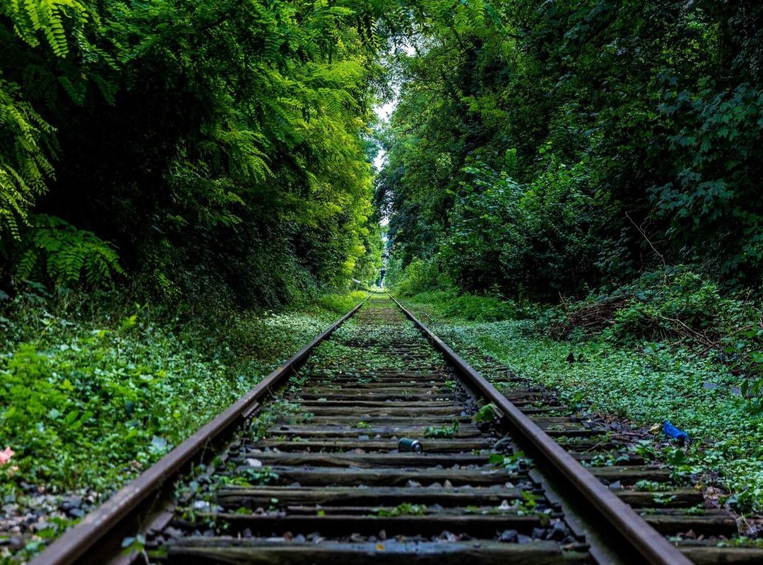 Case Studies: Success Stories in the Gaming Industry